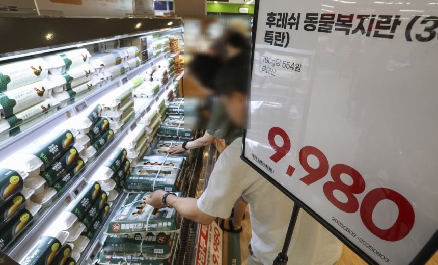 달걀 한 판 7000원 돌파…왜 이렇게 비싸졌나?