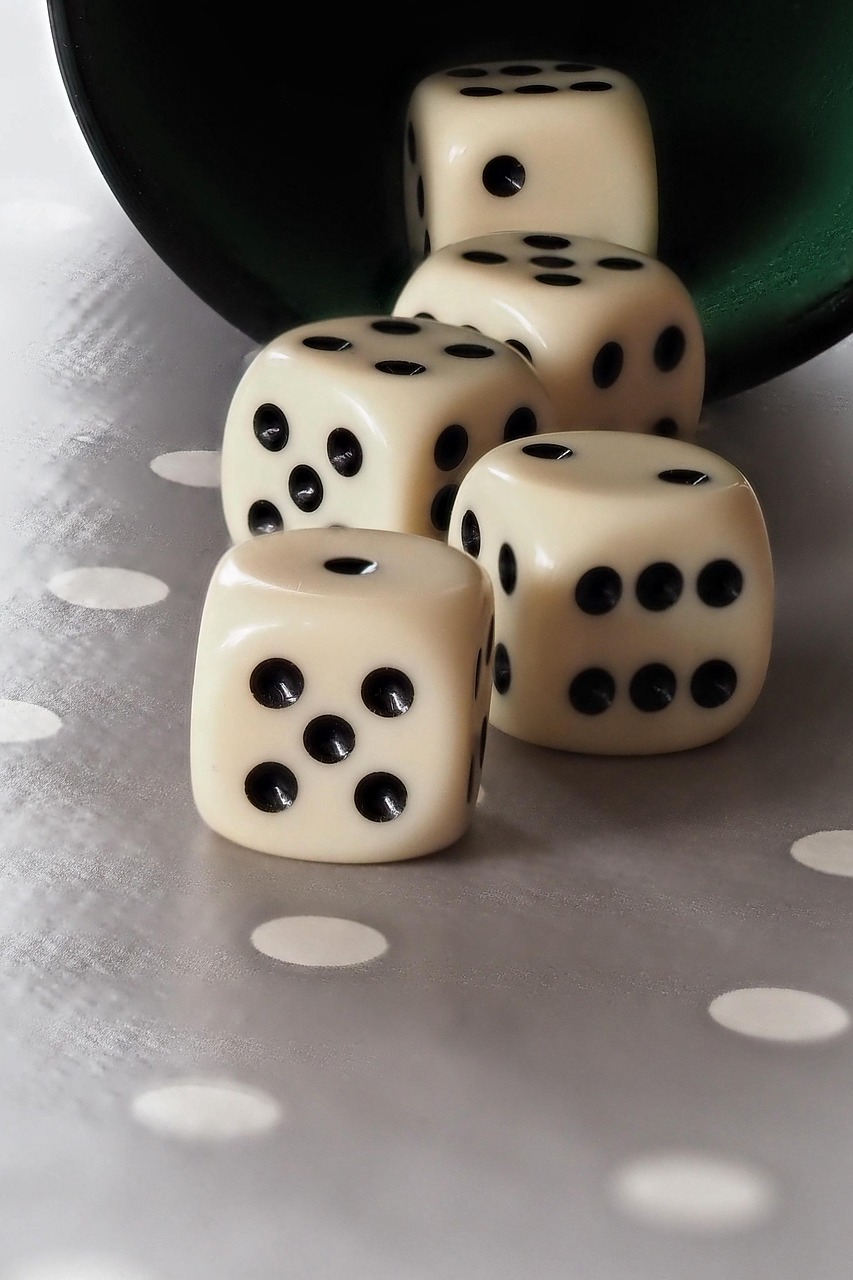 내일은 또 다른 기회다