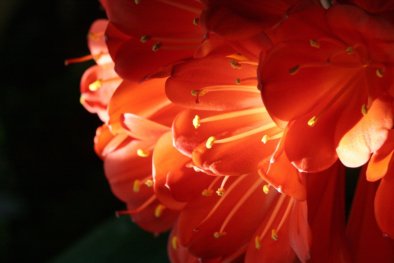 구름이 껴도 내면의 빛은 결코 흐려지지 않습니다